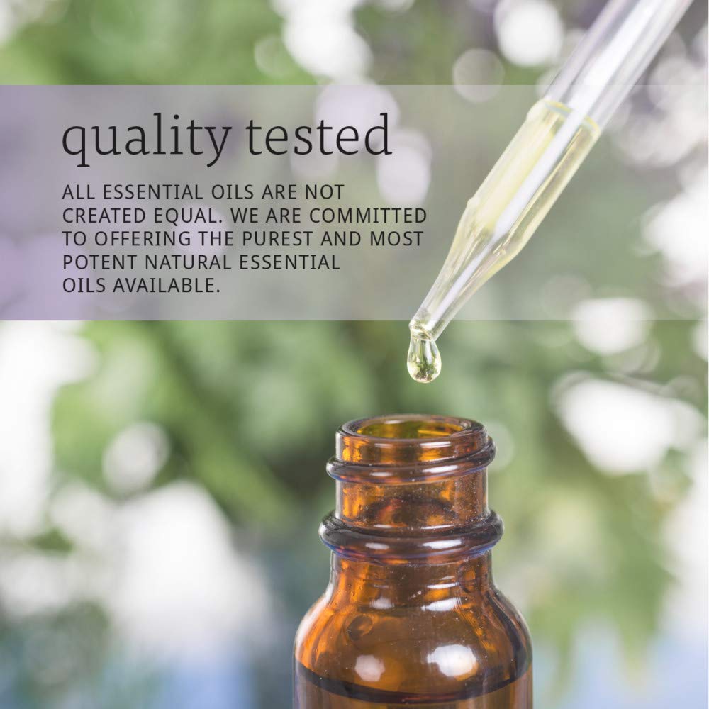 Lavender Oil 4 Fluid Ounce 2 Pack S229280