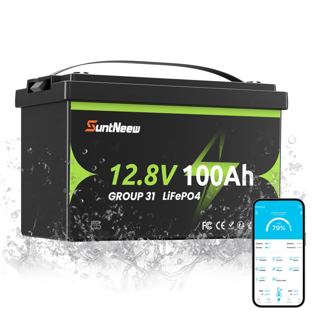 12V 100Ah LiFePO4 Battery Group 31 S959727