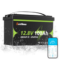 12V 100Ah LiFePO4 Battery Group 31 S959727