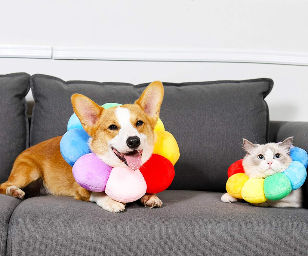 Adjustable Soft Recovery Collar for Pets S7040