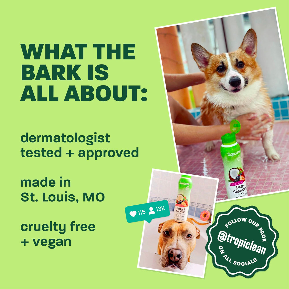 Oatmeal Dog Shampoo 20oz A389