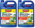 Southern Weed Killer for Lawns 1 Gal Pack of 2 F771079