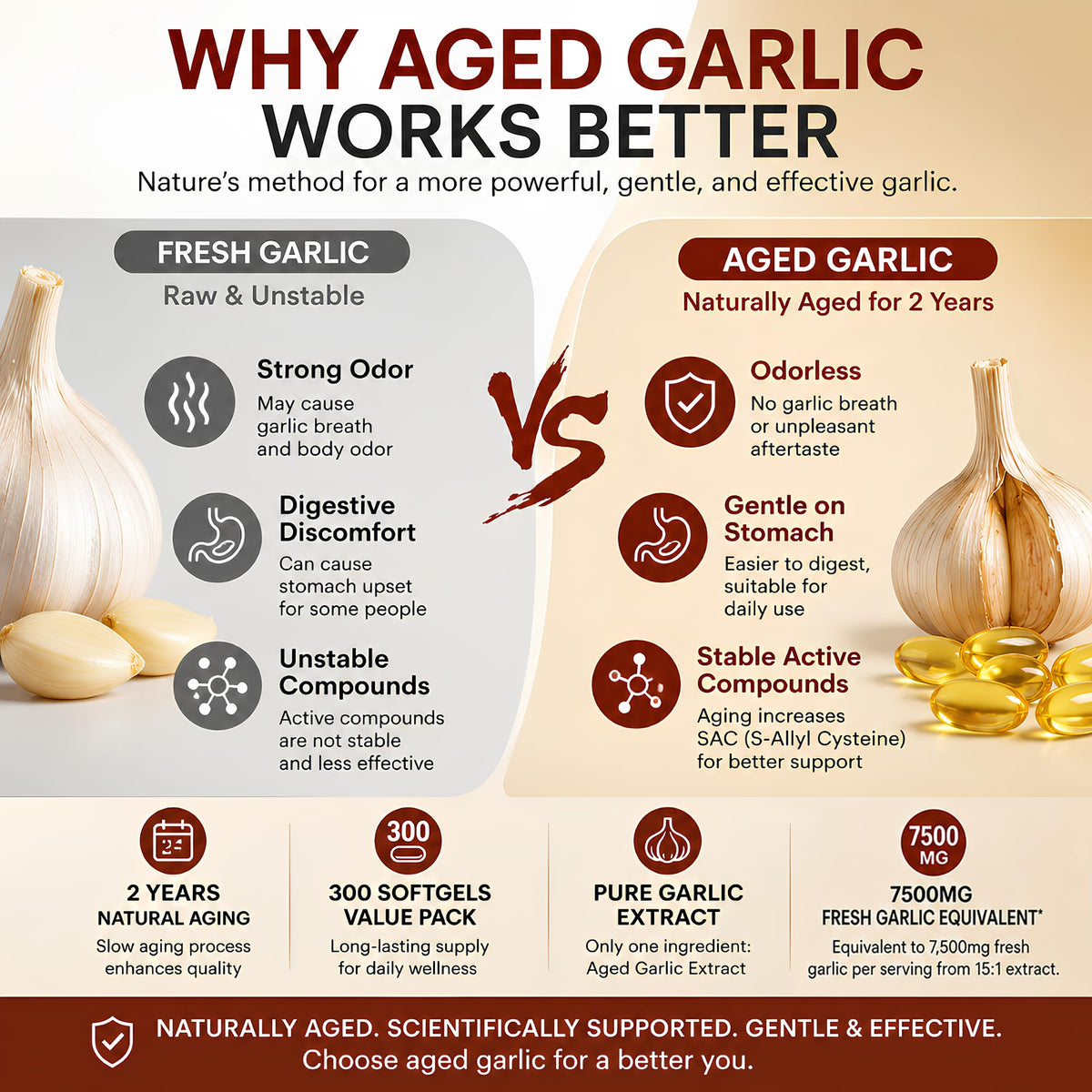 Odorless Aged Garlic Extract 300 Softgels J449281