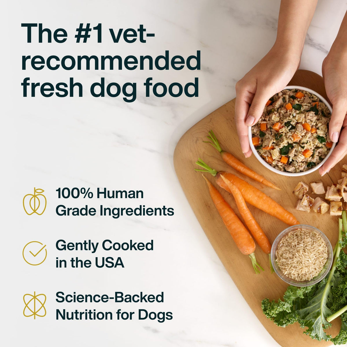 Chicken Wet Dog Food 7 Pack T3048