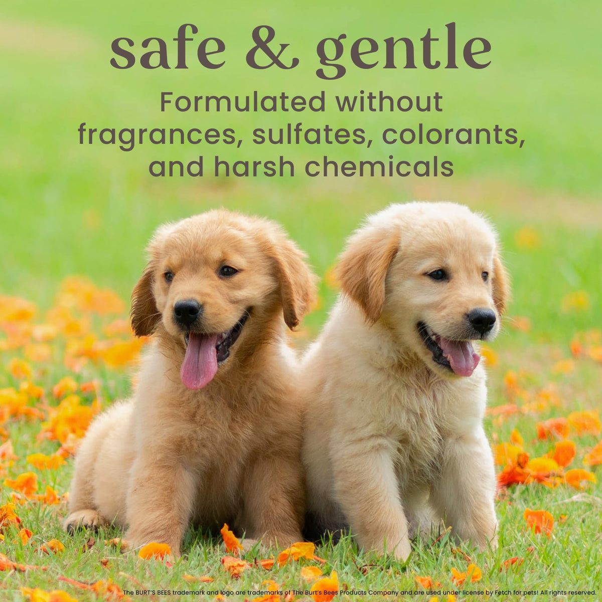Itch Soothing Dog Spray Honeysuckle & Aloe 10 Fl Oz J602