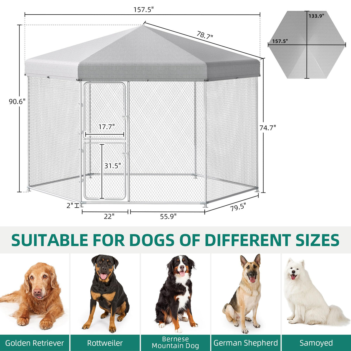 Extra Large Outdoor Dog Kennel H7017