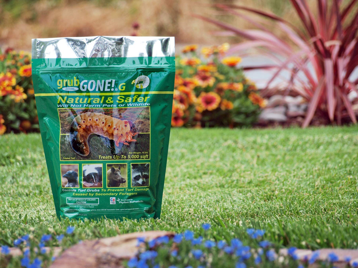 Natural Organic Grub Control Granule L307153