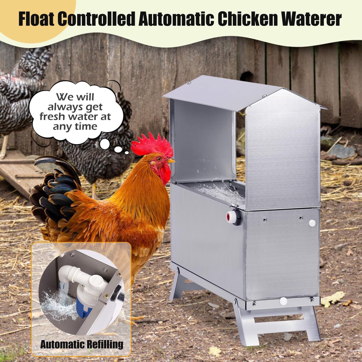 Stainless Steel Automatic Chicken Waterer K6149