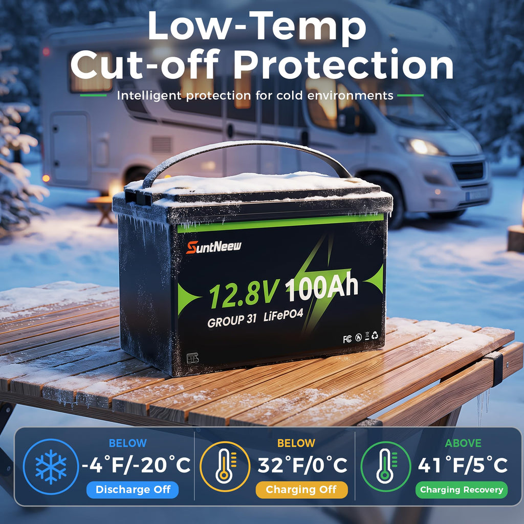 12V 100Ah LiFePO4 Battery Group 31 S959727