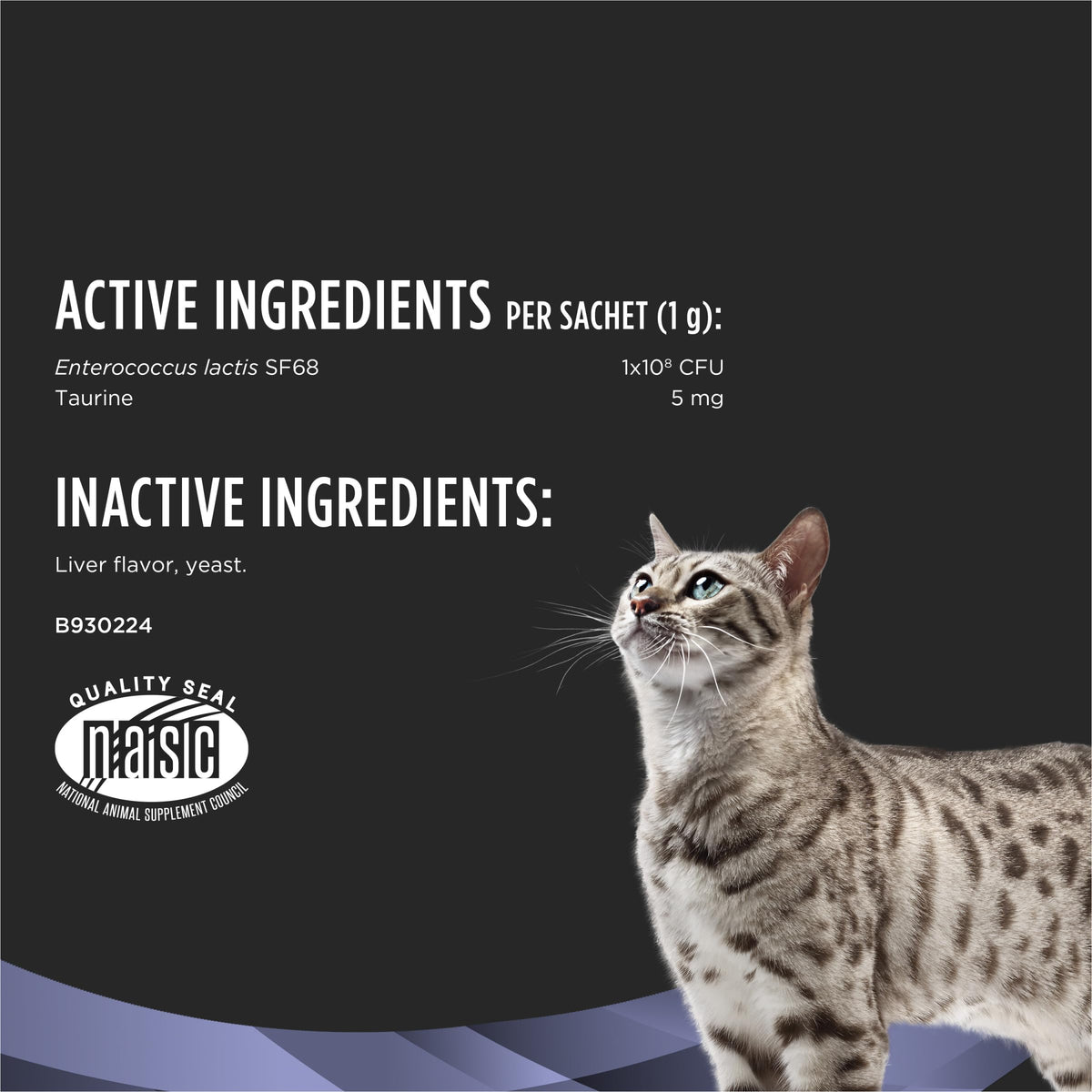Probiotic Powder Supplement for Cats W2119