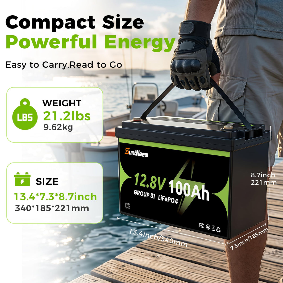 12V 100Ah LiFePO4 Battery Group 31 S959727