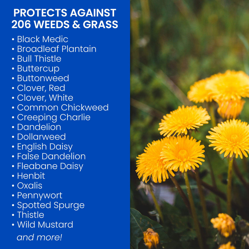 Southern Weed Killer for Lawns 1 Gal Pack of 2 F771079